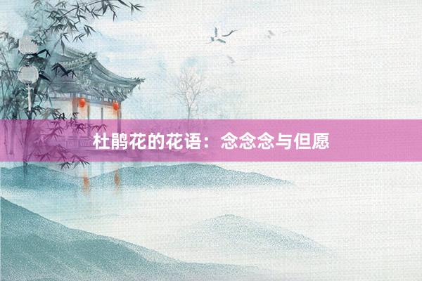 杜鹃花的花语：念念念与但愿