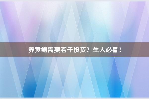 养黄鳝需要若干投资？生人必看！